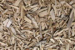 biomass boilers White Colne